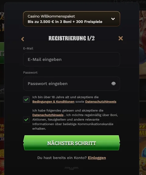 Formularbeispiel mit E-Mail, Passwort und getrennten Zustimmungen
